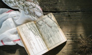 翰的意思（维申及甫维周之翰的意思）