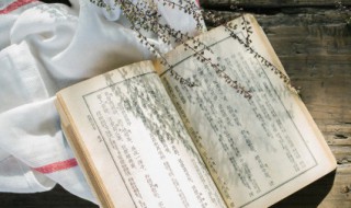 甚是什么意思 甚好是什么意思