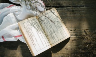 列那狐的故事作者简介（列那狐的故事作者简介200字）
