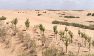 荒漠与荒漠化的区别 土地荒漠化和沙漠的区别