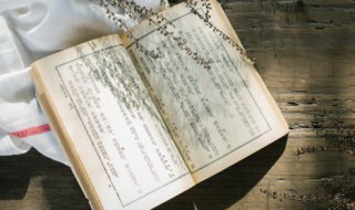 伍子胥的故事简介（伍子胥的故事简介300字）