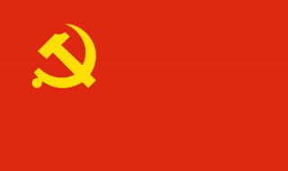 党的历史简介500字（党的历史简介600字）