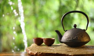 茶的由来简介 茶的由来简介50字