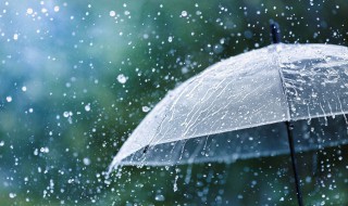 雨季三防是指哪三防知识（雨季三防是哪三防及时间）