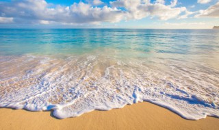 丢进海里歌词 丢进海里歌词完整版