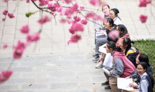 民办学校公费生是什么意思（公费生和民办生是什么意思）