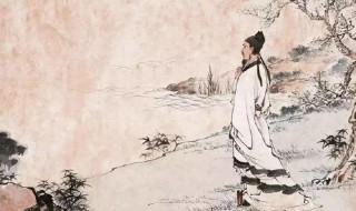 竹里馆原文翻译及赏析（竹里馆译文及注释）