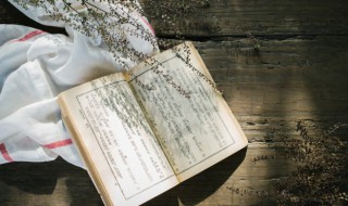 望庐山瀑布原文翻译及赏析 望庐山瀑布全诗的翻译