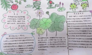 二十四节气夏至手抄报内容（24节气夏至手抄报内容）