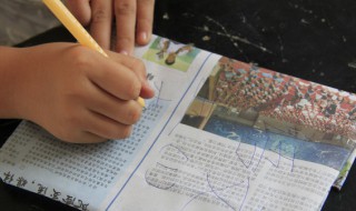 至亲至爱的意思（至亲至爱的意思中医理疗馆宣传语）