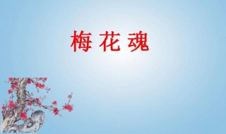 梅花魂的意思 梅花魂的意思20字