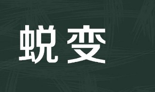 蜕变意思 巨大的蜕变意思