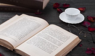 参观记作文 参观记作文600字六年级有详有略