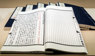 辛弃疾资料（辛弃疾资料简介20字左右）