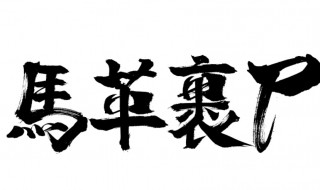 马革裹尸的意思是什么 马革裹尸的意思是什么在本文指什么