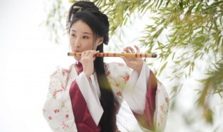 四时之风的意思 四时之风的意思解释