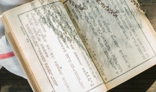 河中石兽翻译及原文 河中石兽翻译及原文及注释