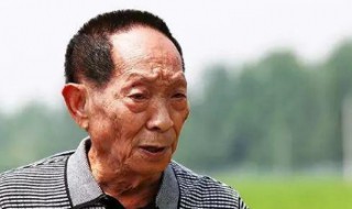 袁隆平的贡献是什么 袁隆平的贡献是什么150字