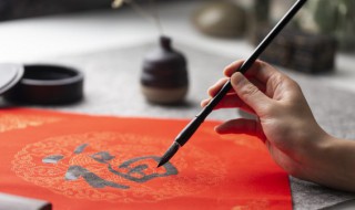 衣字旁有哪些字（衣字旁有哪些字?）