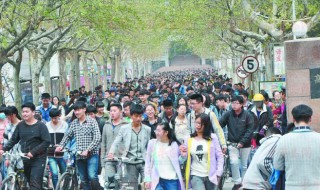 春季高考怎么报名（2023年春季高考怎么报名）