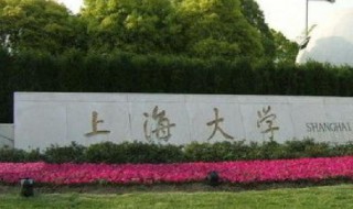 上海大学简介（上海大学简介及录取数据）