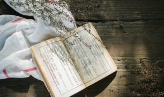 挓怎么读（挓挲怎么读）