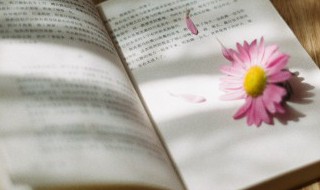 岊怎么读（䏏怎么读?）