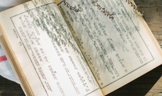 迖怎么读 飙怎么读