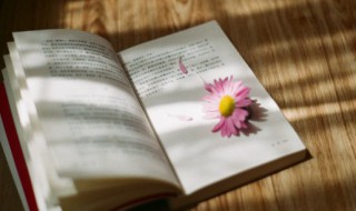 顸怎么读 瑀怎么读