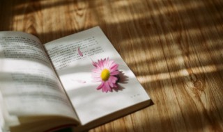 京畿道怎么读（京畿道怎么读英文）