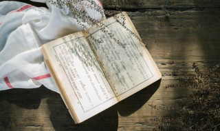 红楼梦16回概括 红楼梦16回概括50字