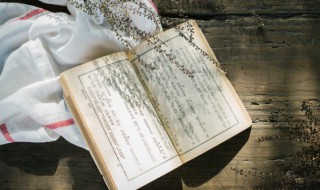 红楼梦第十九回概括（红楼梦第十九回概括200字）