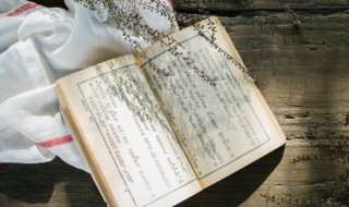红楼梦第三十八回概括 红楼梦第三十八回概括50字