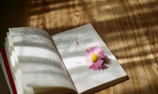 歃血怎么读 血儱怎么读