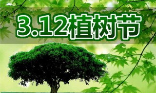 植树节日期 植树节日期是哪一天