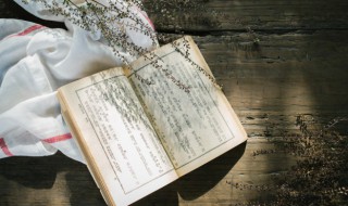 简爱31章概括（简爱31章概括50字）