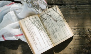 西游记第48回概括400（西游记第48回概括400字）