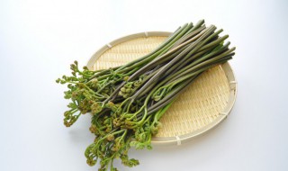 蕨菜怎么读（蕨菜怎么读拼音）