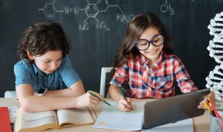 羊的拼音怎么写 盖的拼音怎么写