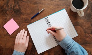 竹子的拼音怎么写（竹子的拼音怎么写的拼音怎么读）