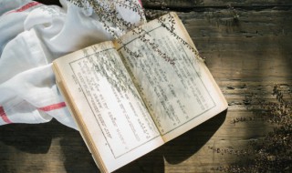 祥子在曹宅的内容概括（祥子在曹宅内容梗概）