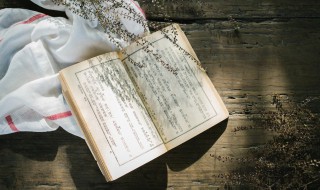 好嘴杨巴内容概括（好嘴杨巴内容概括100字）