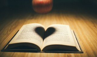 草房子第一章概括 草房子第一章概括20字