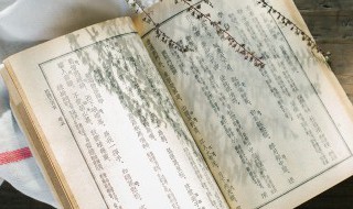 口可以怎么组词（旱可以怎么组词）