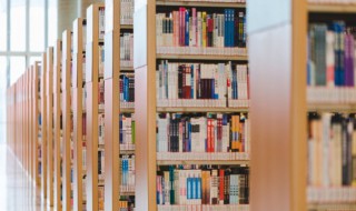 机怎么组词（棵怎么组词）