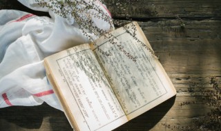 敞怎么组词 敞怎么组词组