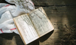 蜜蜂的蜂怎么组词 蜜蜂的蜂怎么组词啊