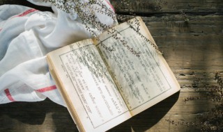 骄怎么组词语 骄怎么组词语和拼音