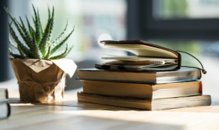 西游记1回概括（西游记1回概括20字）