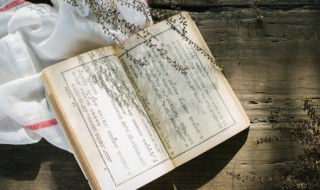 童年第六章概括（童年第六章概括50字左右）